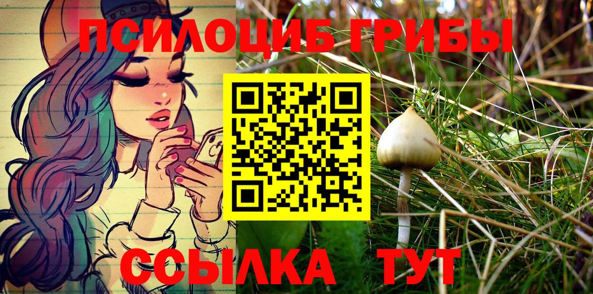 Галлюциногенные грибы Cubensis  Галлюциногенные грибы Magic Shrooms  Вход с VPN  Ессентуки 